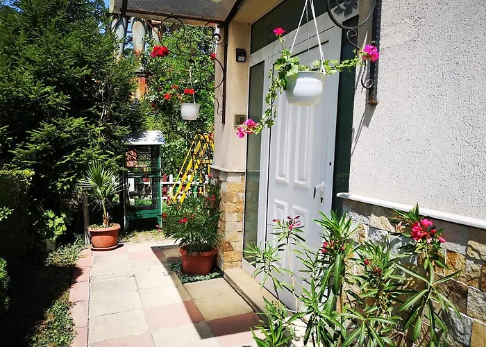 Guest house Respekt 3*